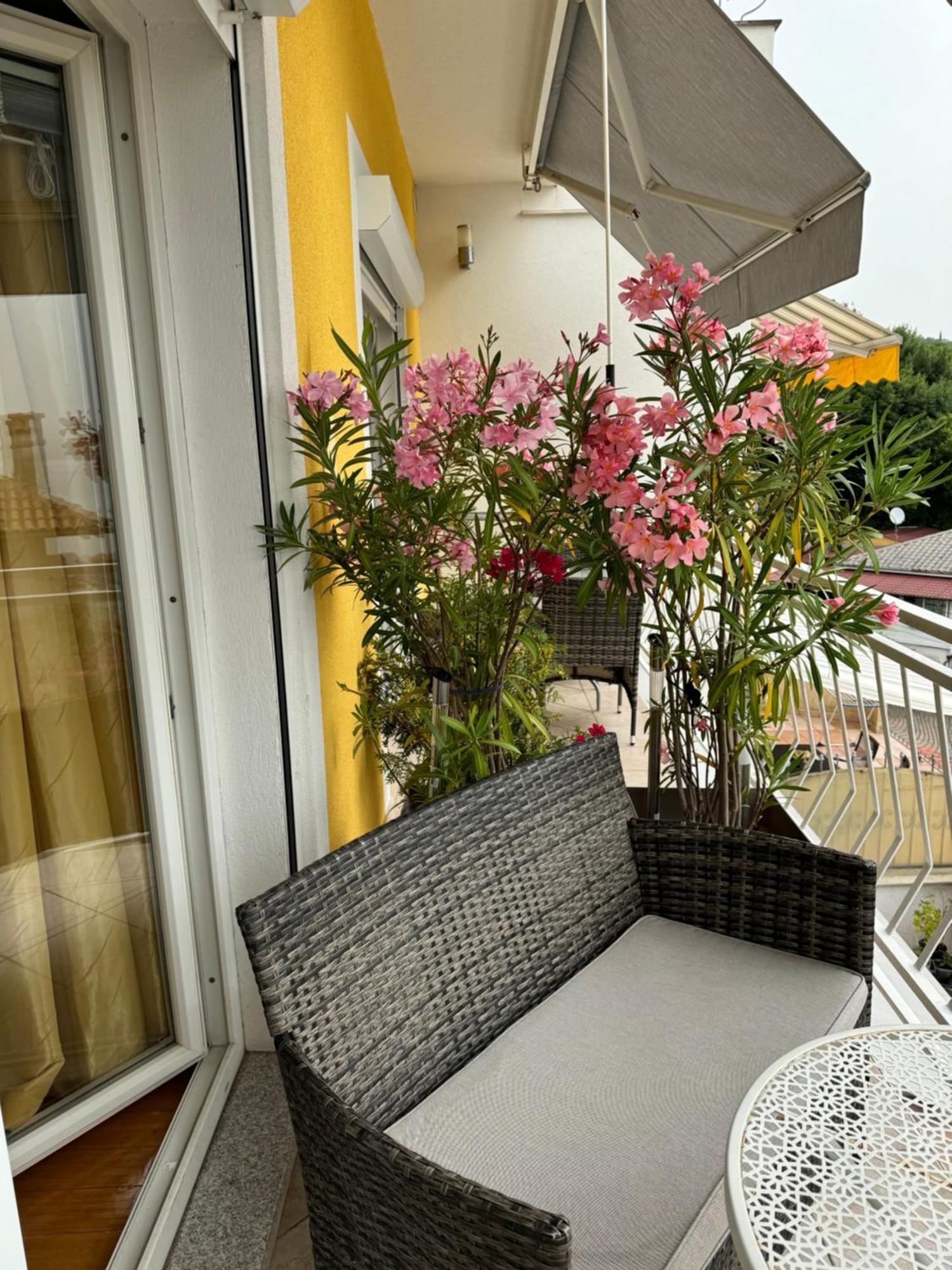 Apartments Bonavista オパティヤ エクステリア 写真